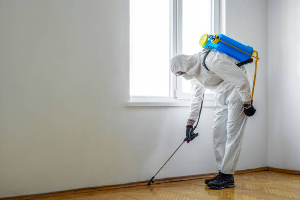 Best Exterminator Services  in Trenton, MO