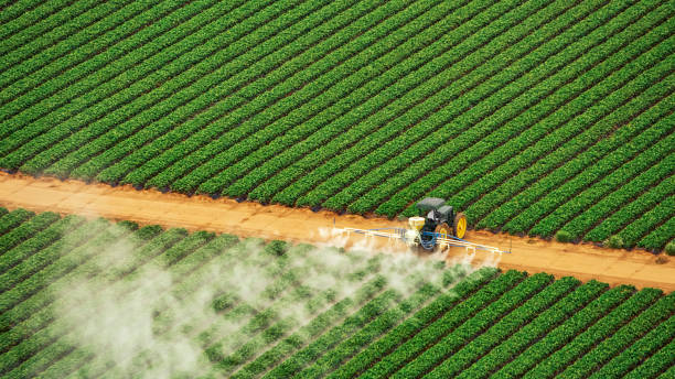 Best Pest Control Treatment  in Trenton, MO