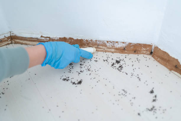 Best Bed Bug Extermination  in Trenton, MO