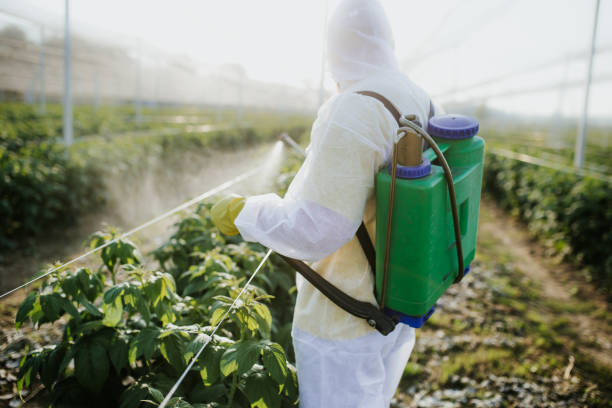 Best Wasp Removal Services  in Trenton, MO